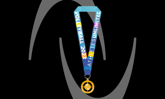 Volleyball Champions Medal Replica